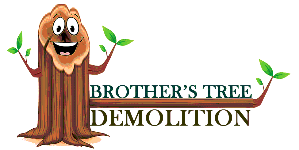 Brother's Tree Demolition logo Perris Ca