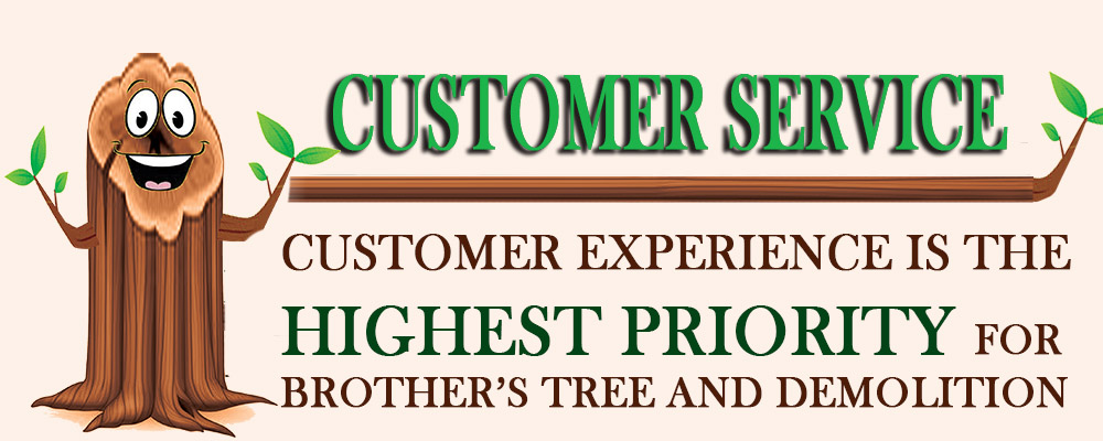 Brothers Tree Demolitions Perris Tree Services Tree grinding and removal_1